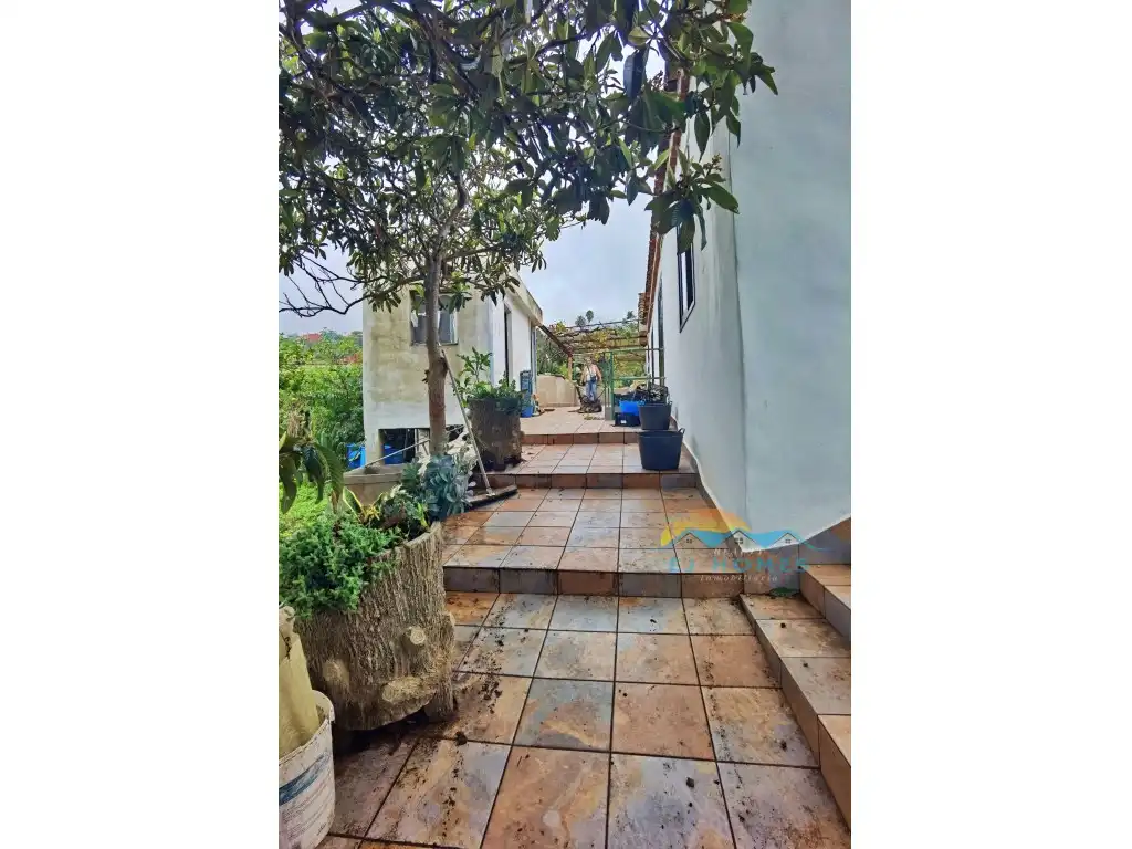Exterior view of Houses for sale in La Orotava