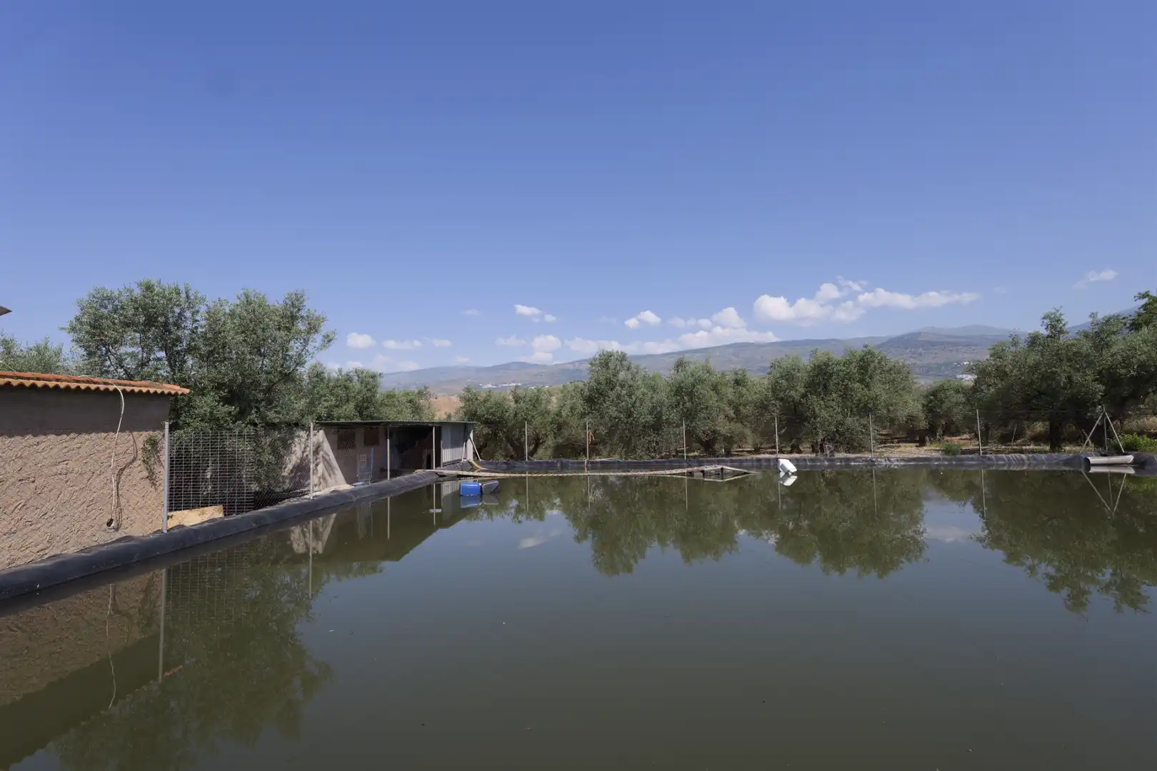 Swimming pool of Country homes for sale in Ugíjar