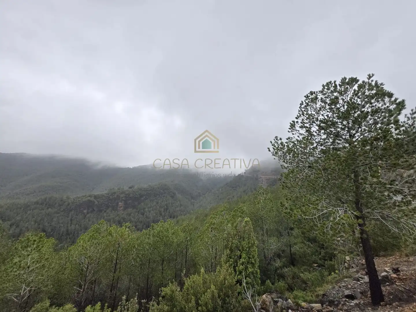 Casa o chalet en venta en Torralba del Pinar