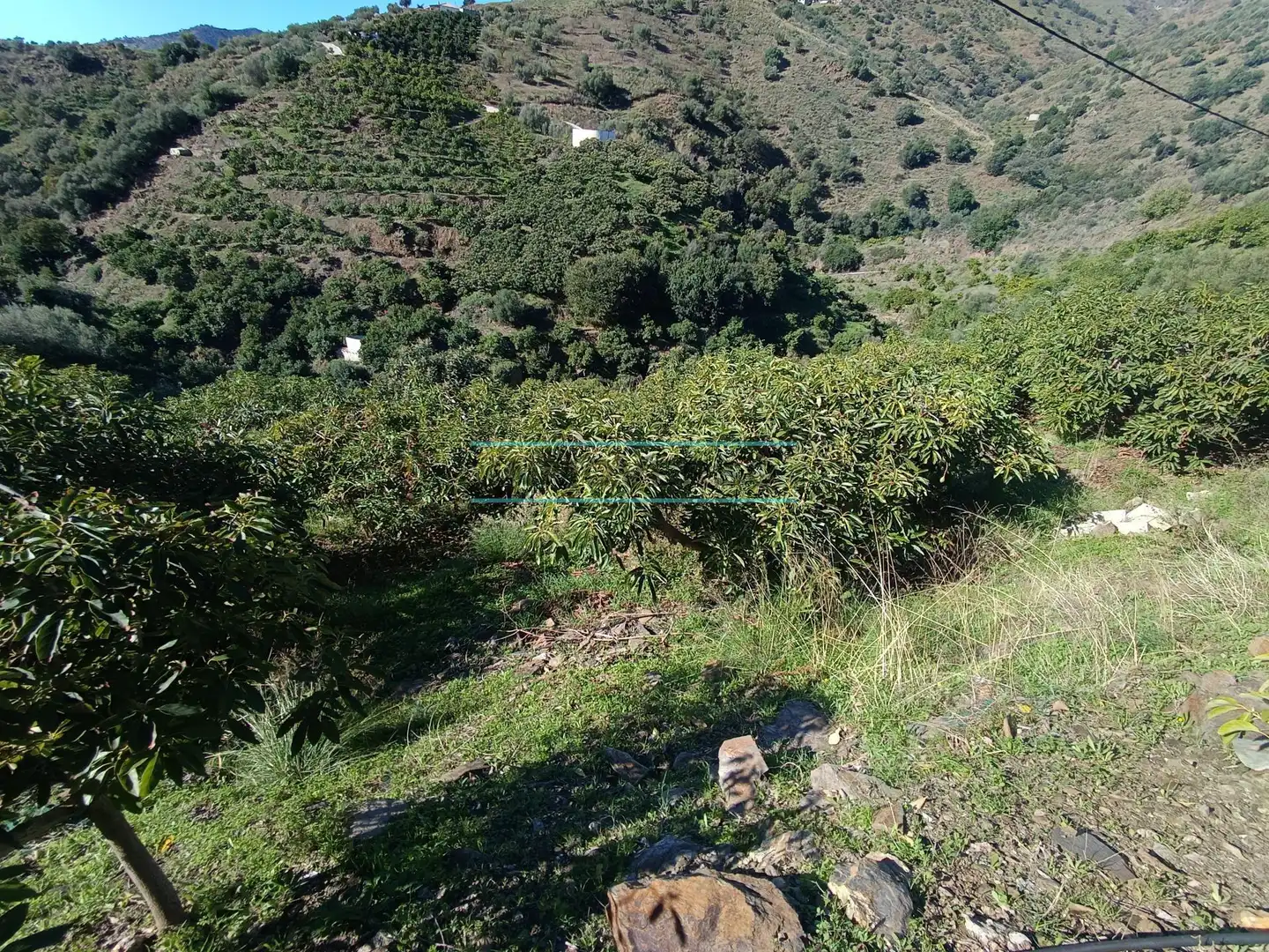 Terreny rústic en venda a Sayalonga, imagen 16