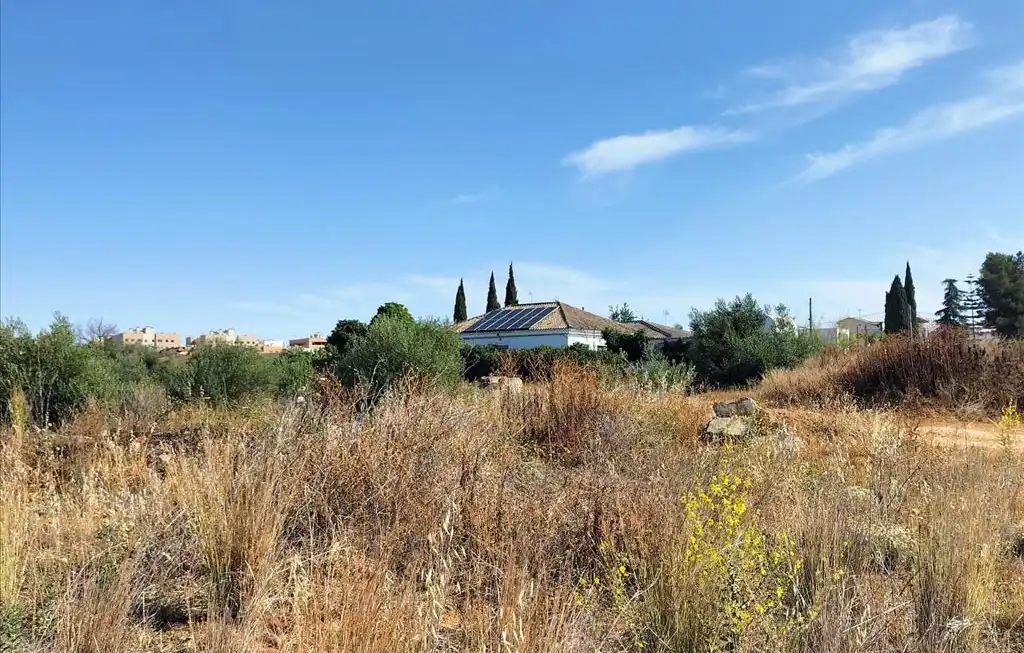 Terreni e lotti in vendita a Carretera de Palomares, imagen 24