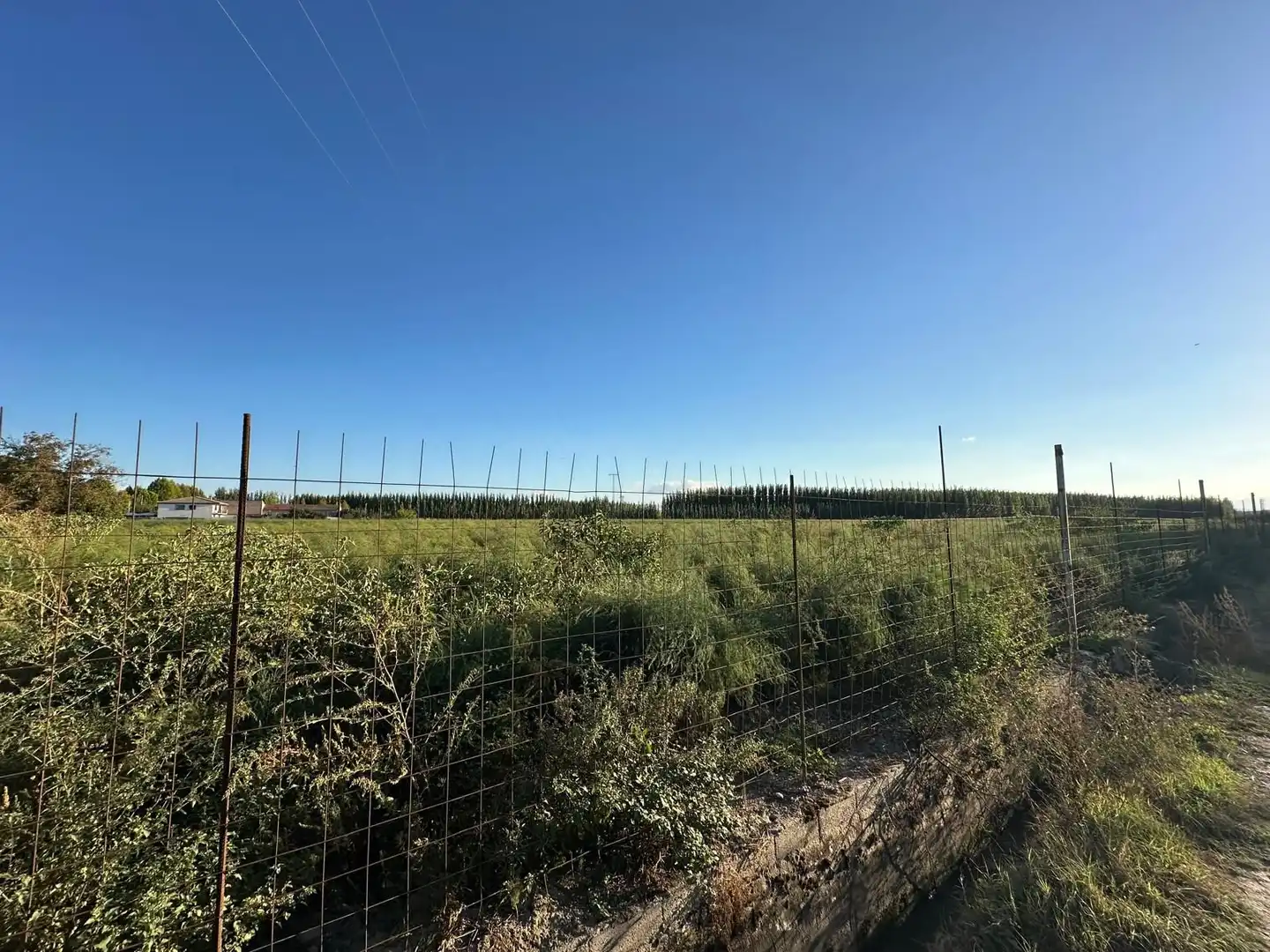Terreny rústic en venda a Fuente Vaqueros, imagen 40
