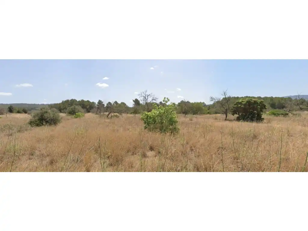 Terreny residencial en venda a Diseminados Buscastell, imagen 8
