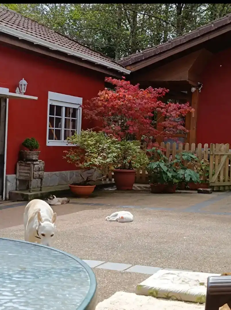 Jardí de Casa o xalet en venda en Soto del Barco