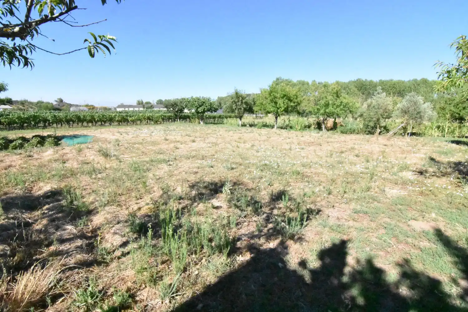 Finca rústica en venta en Ciudad Rodrigo