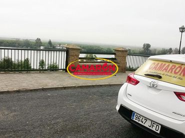 Lands and plots for sale in La Puebla del Río