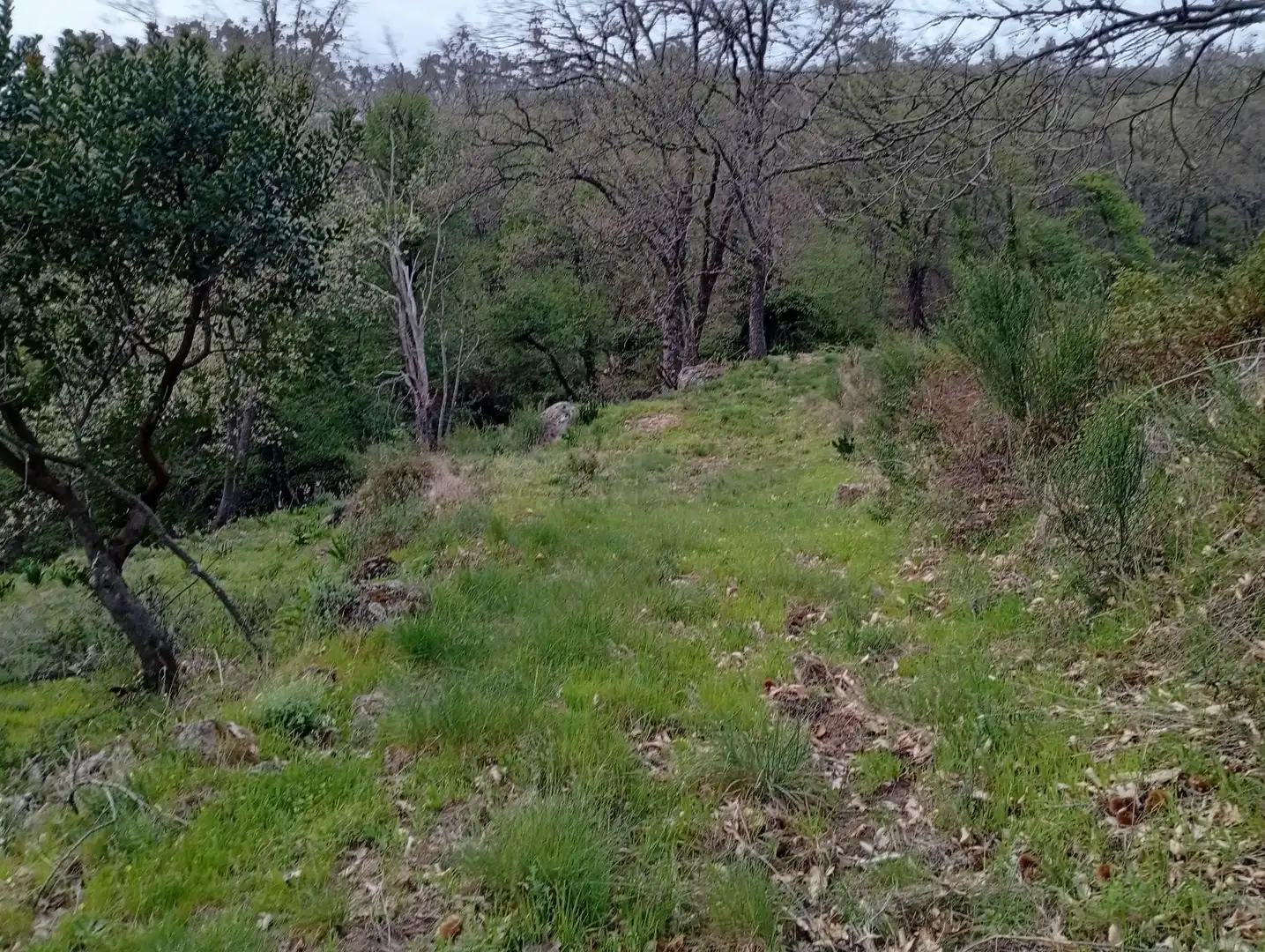 Terreni e lotti in vendita a Valverde de la Vera, imagen 109