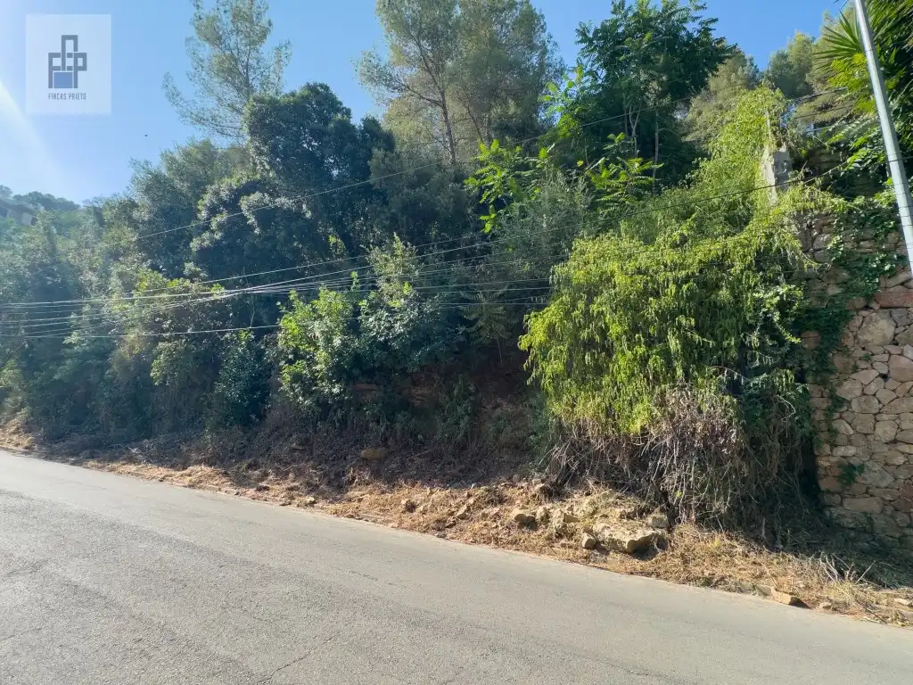 Wohnbaugrundstück zum Verkauf in Calle Vallirana, imagen 8