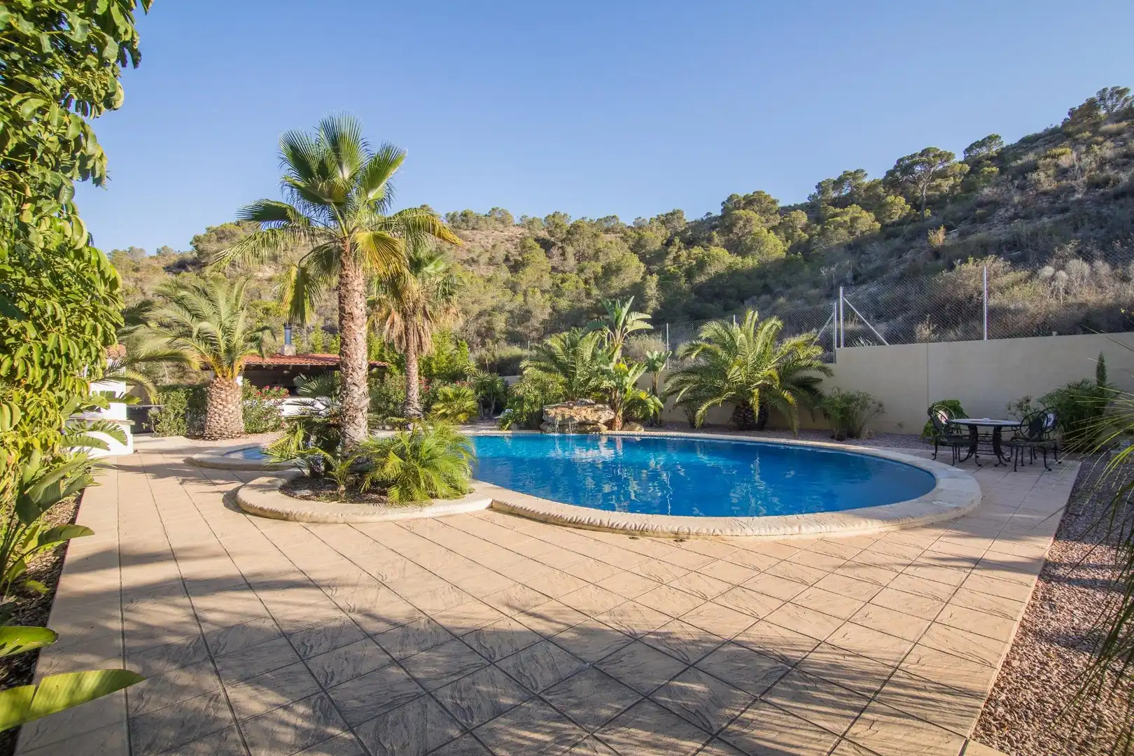 Piscina de Casa o xalet en venda en Aspe amb Aire condicionat, Calefacció i Jardí privat