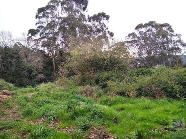 Terreno rustico in vendita a Carreño