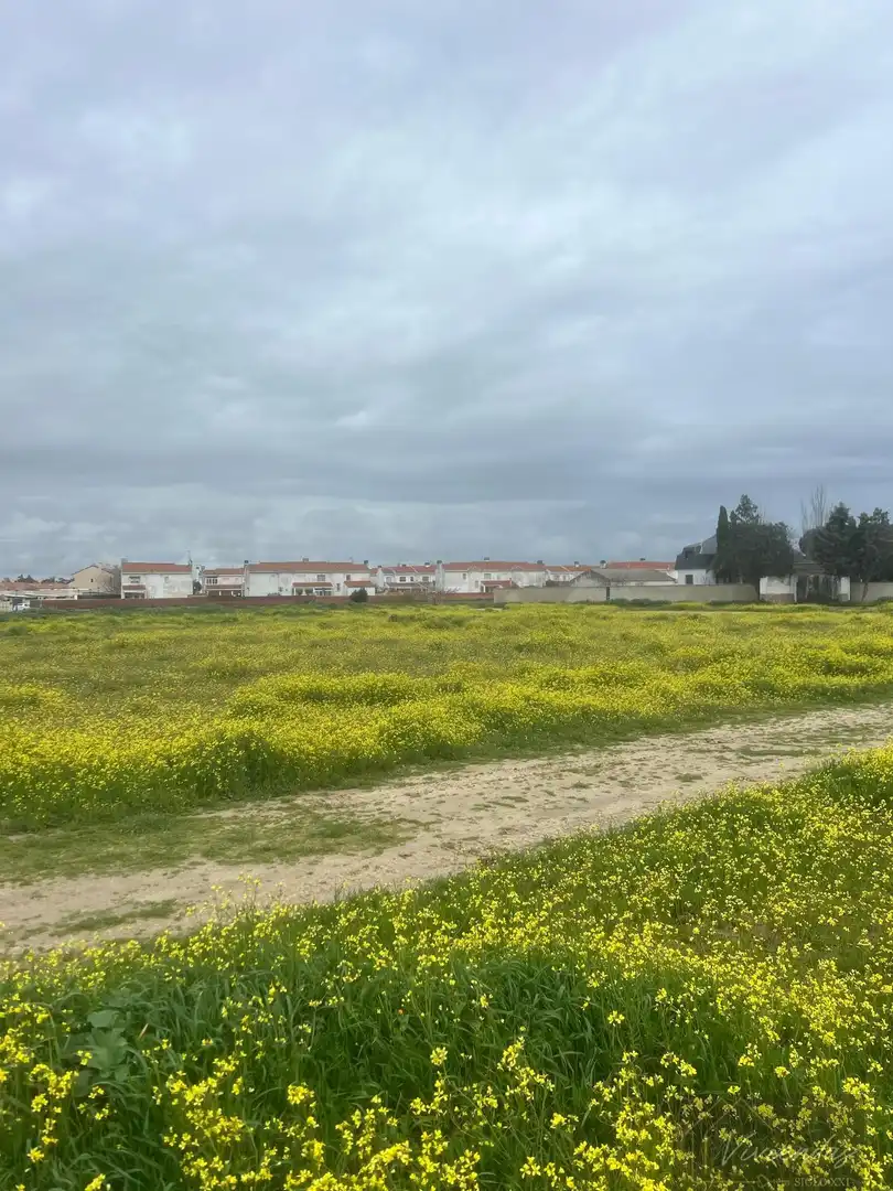 Terreny residencial en venda a El Viso de San Juan, imagen 11