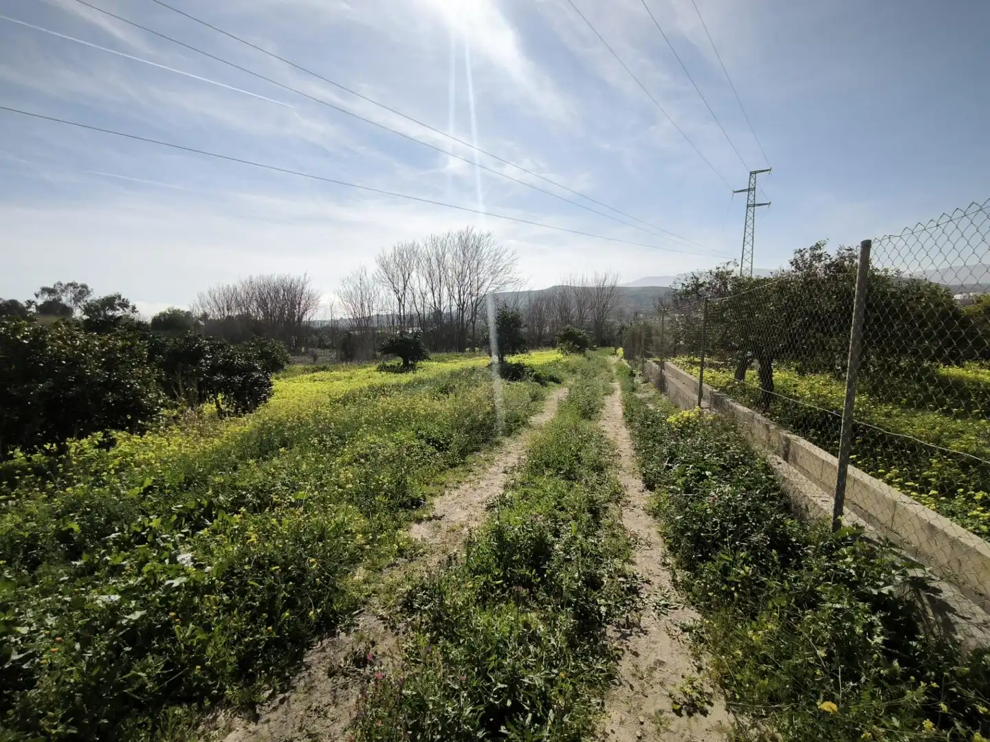 Lands and plots for sale in Gádor, imagen 28
