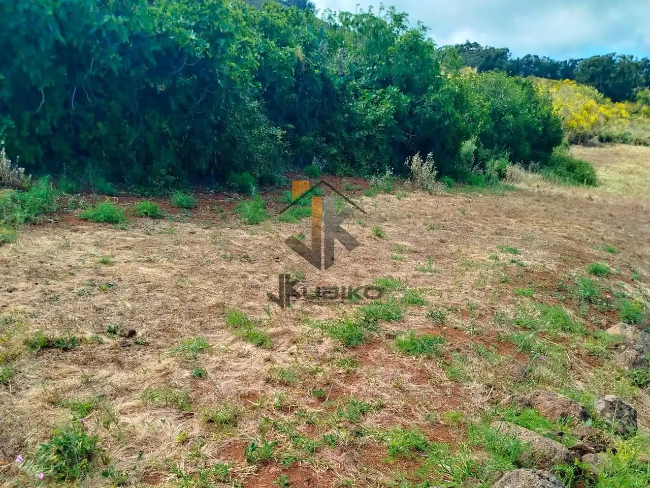 Land for sale in El Rosario