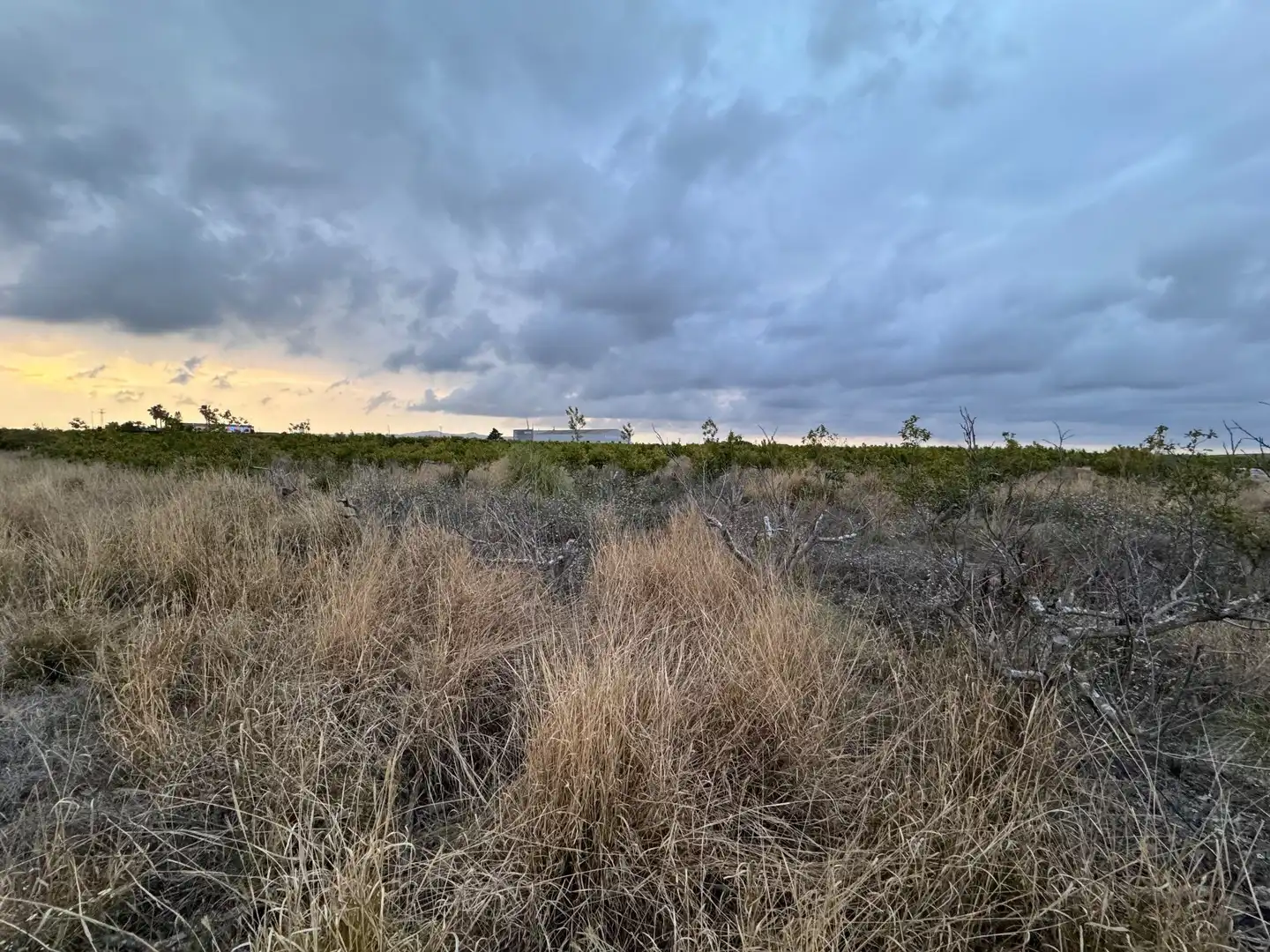 Terrenos y solares en venta en Polígono 10 Parcela 62, imagen 6