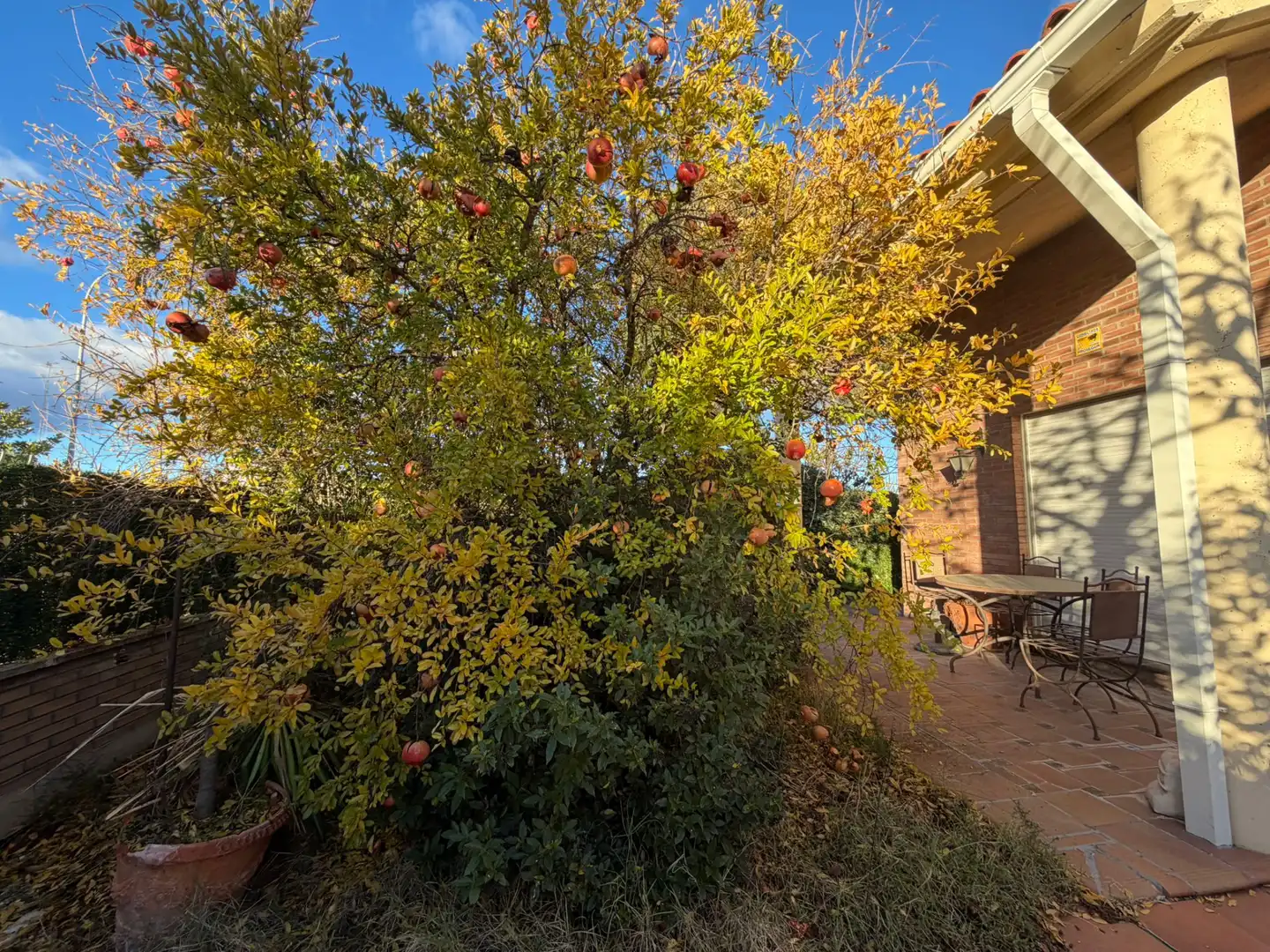 Jardín de Casa o chalet en venta en Boecillo con Alarma