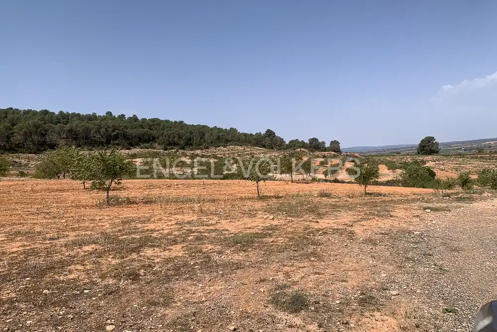 Lands and plots for sale in Requena, imagen 34