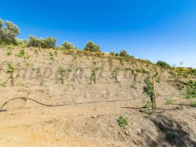Terreni e lotti in vendita a Torrox Pueblo, imagen 6