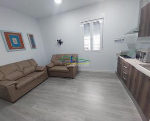 Sala d'estar de Apartament de lloguer en Mérida amb Aire condicionat i Calefacció