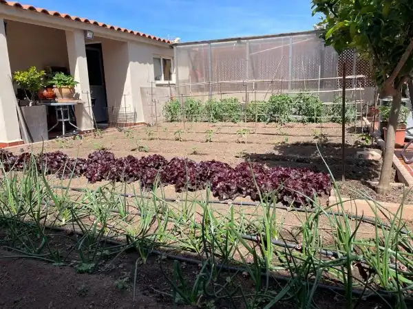 Garden of Houses for sale in Plasencia  with Private garden, Swimming Pool and Furnished