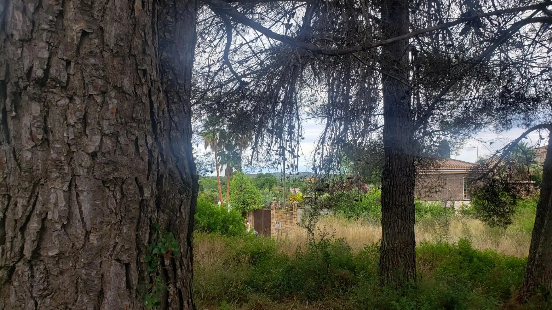 Residential land for sale in Calle dels Almogavers 6, imagen 9