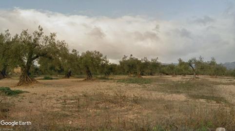 Foto 2 de Terreno en venta en N/a, -1, San Rafael del Río, Castellón