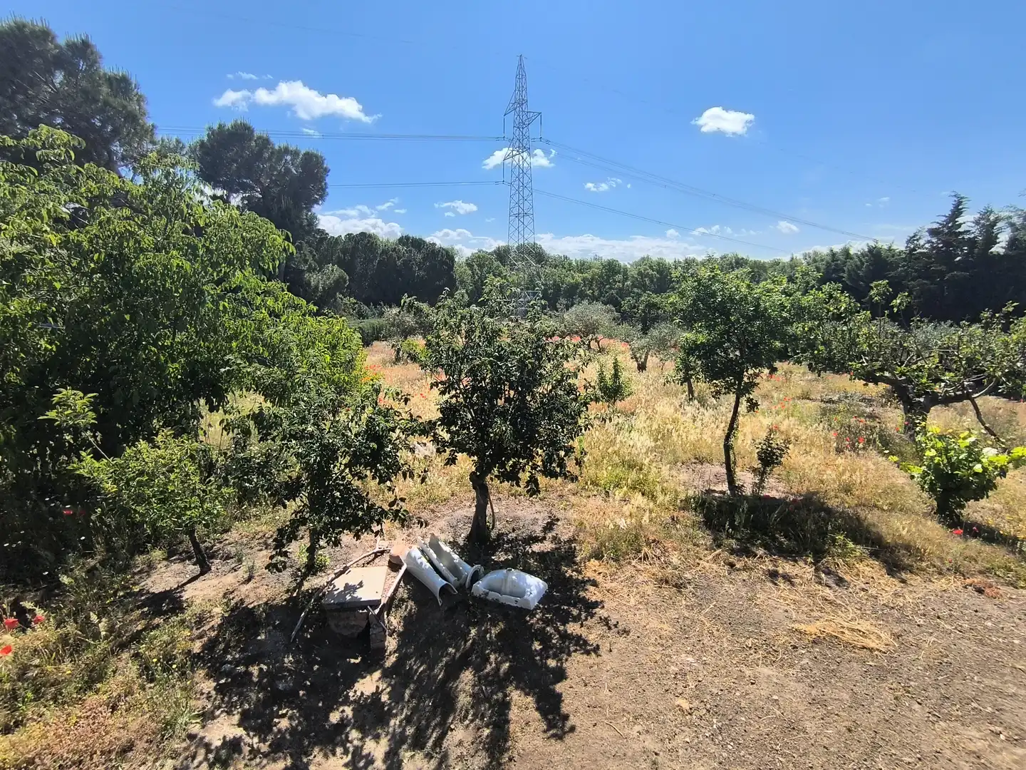 Land for sale in El Molar (Madrid)