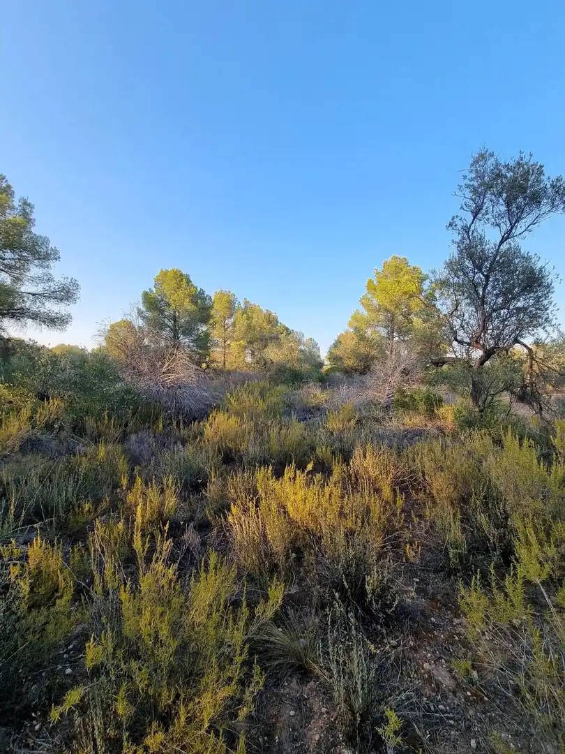 Residencial en venta en Tivissa