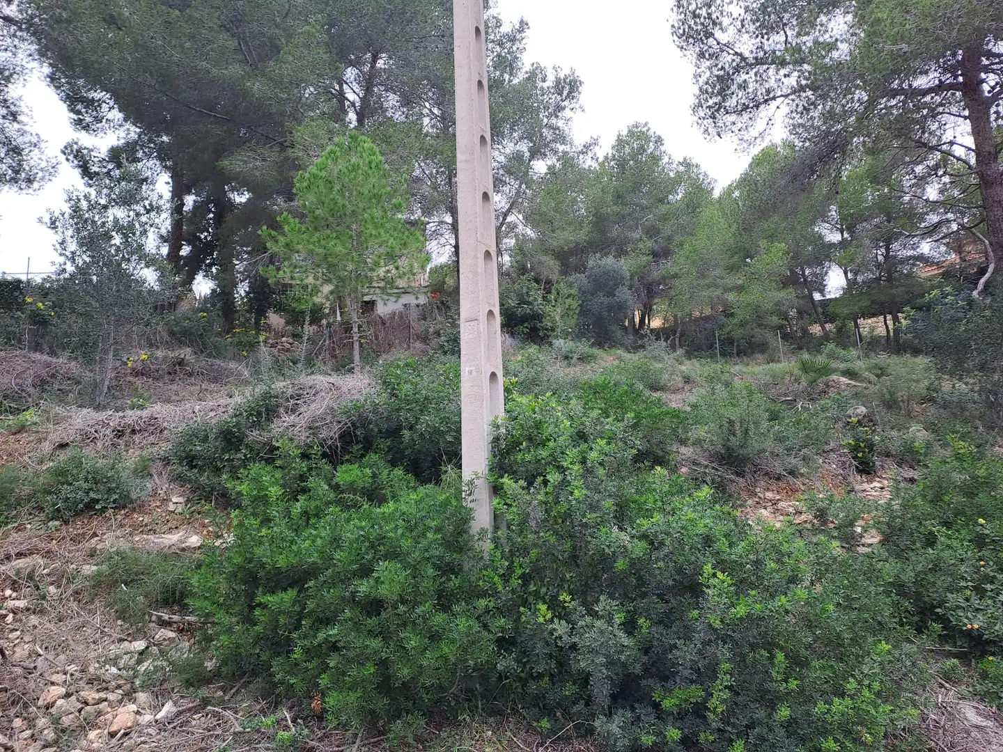 Wohnbaugrundstück zum Verkauf in Costa Cunit - Els Jardins - Els Rosers, imagen 3