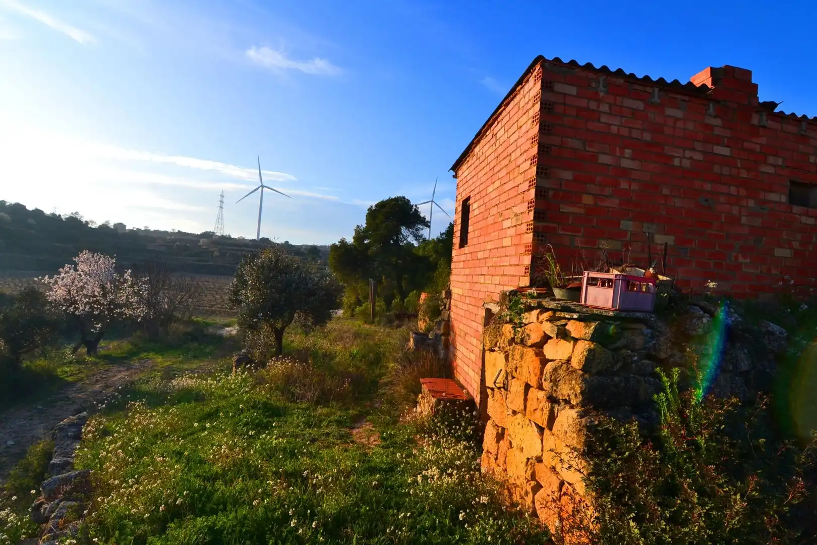 Rural land for sale in Corbera d'Ebre, imagen 6