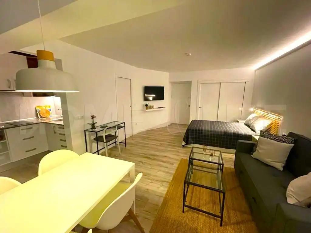 Estudio con ascensor en venta en La Carihuela - Los Nidos, imagen 19