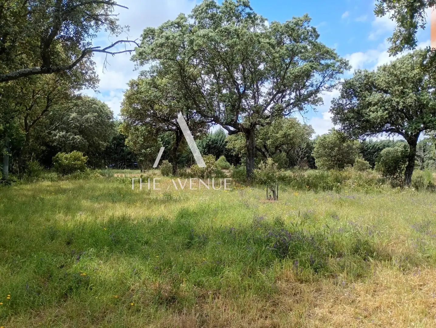 Residential land for sale in Calle Enebros, imagen 7