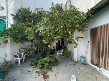 Casa con giardino in vendita a Alcaudete