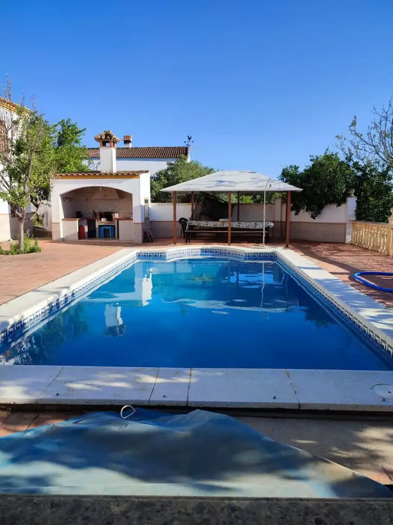 Swimming pool of Houses for sale in Arcos de la Frontera  with Air Conditioner, Terrace and Swimming Pool