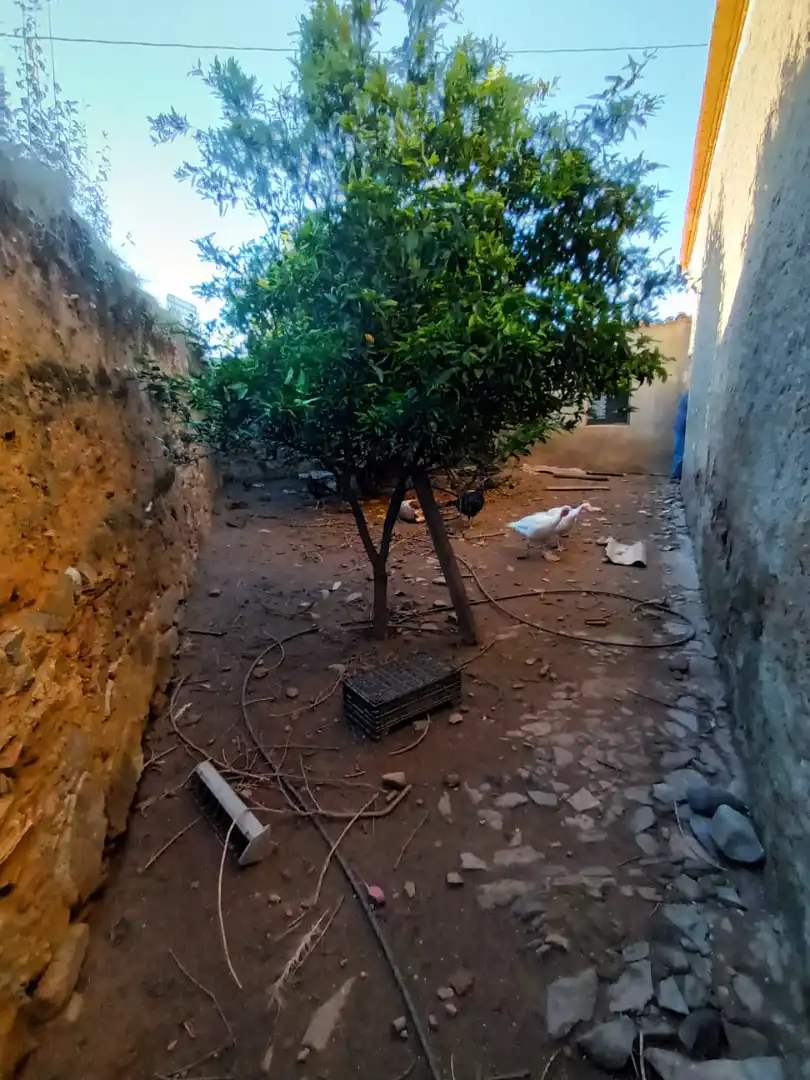 Terreni e lotti in vendita a Carretera Valverde de Mérida 11, imagen 7
