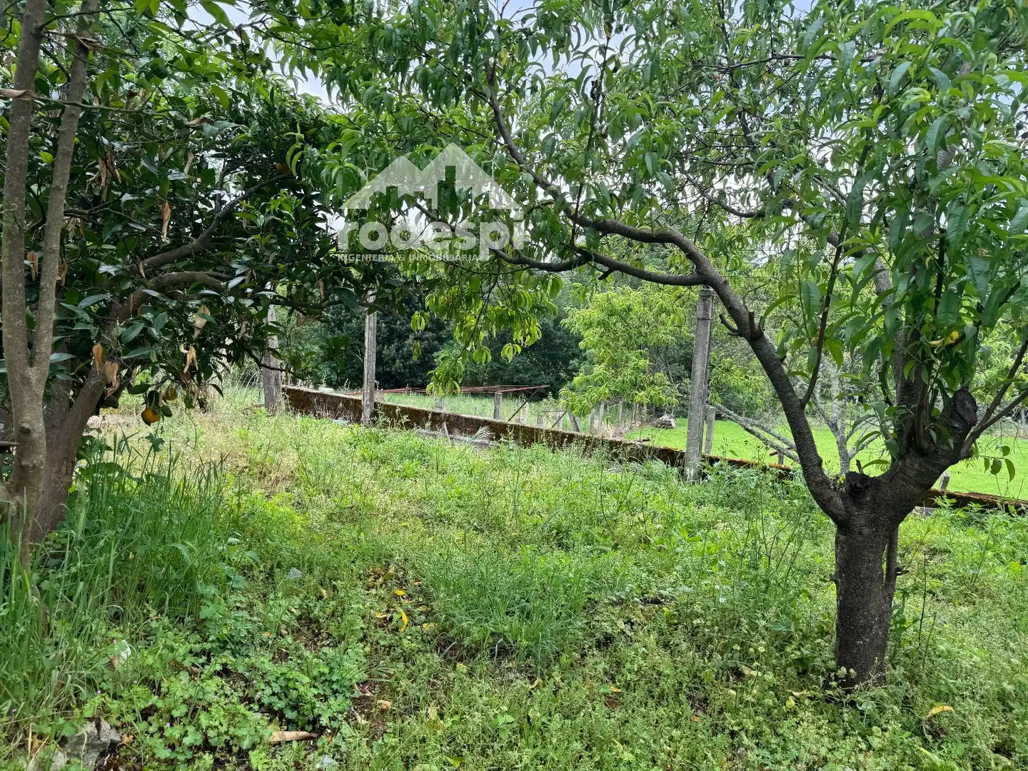 Casa o xalet en venda en Crecente amb Traster i Moblat