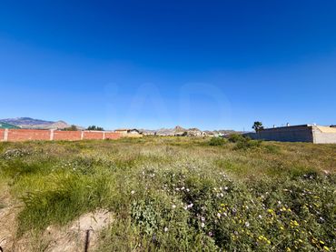 Residential land for sale in Archena