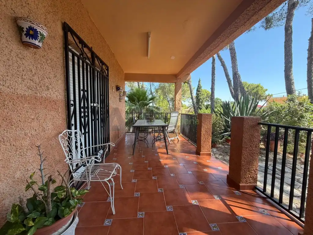 Terrassa de Casa o xalet en venda en Alberic amb Jardí privat, Terrassa i Piscina