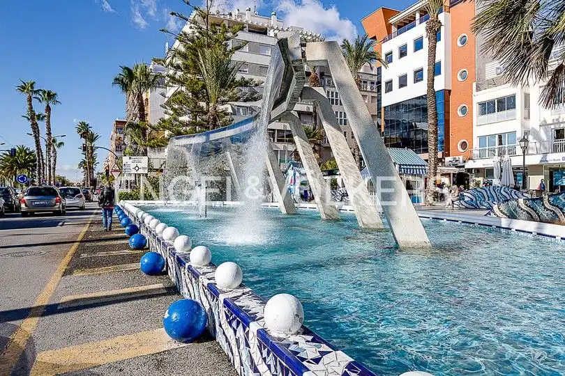 Flat with terrace for sale in Playa del Cura, imagen 100