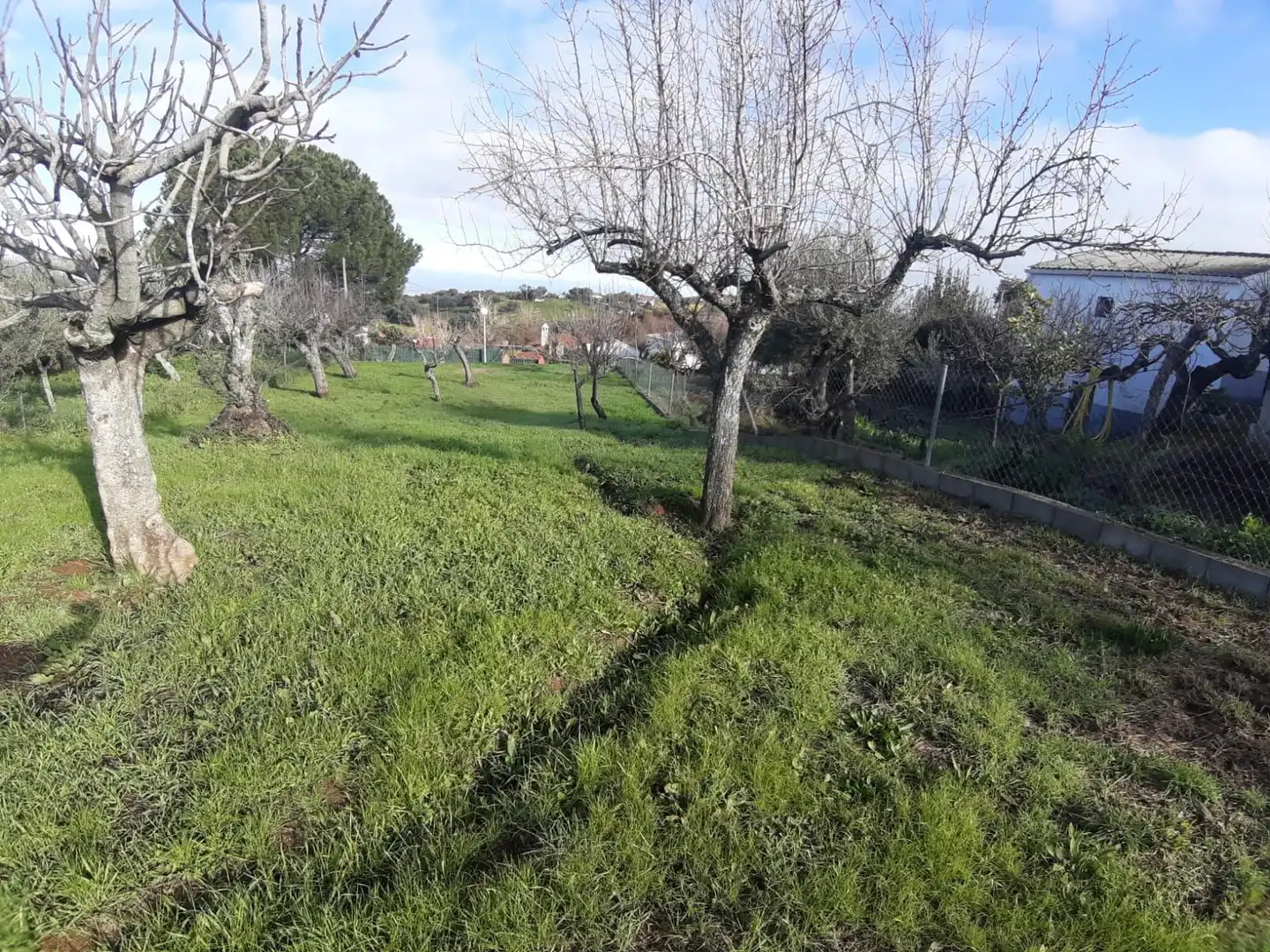 Terreni e lotti in vendita a Cañaveral, imagen 9
