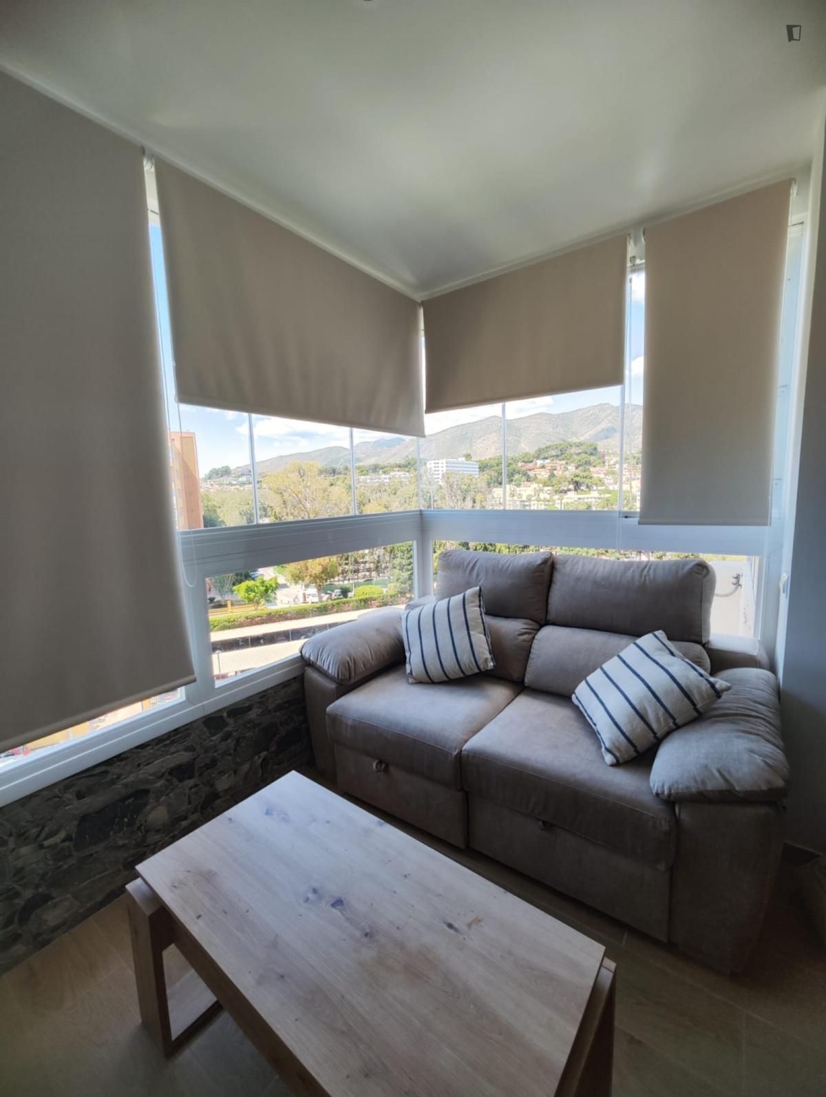 Sala de estar de Estudio de alquiler en Torremolinos con Aire acondicionado, Calefacción y Amueblado