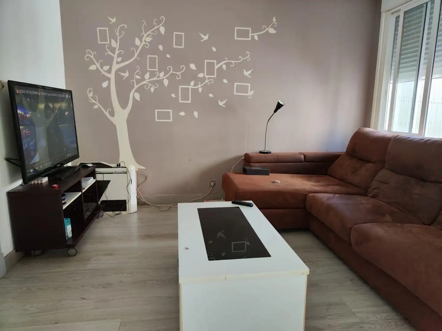 Appartamento con terrazza in vendita a MANUEL PEREIRA, imagen 2