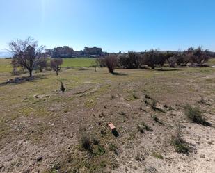 Land for sale in Linares