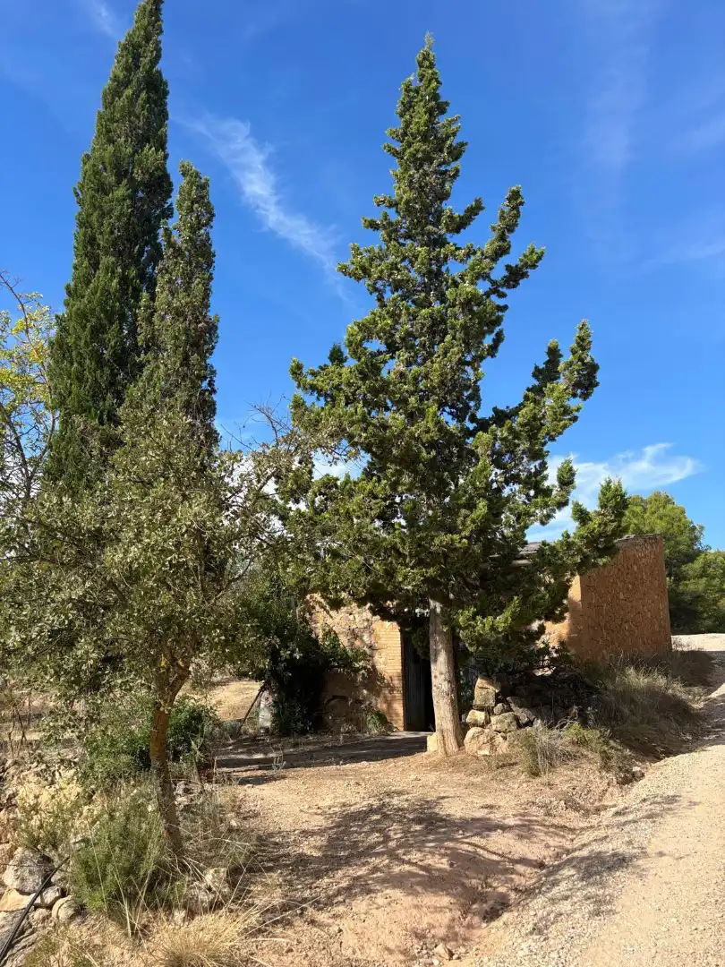 Terreno rustico in vendita a Carrer Sola, imagen 12