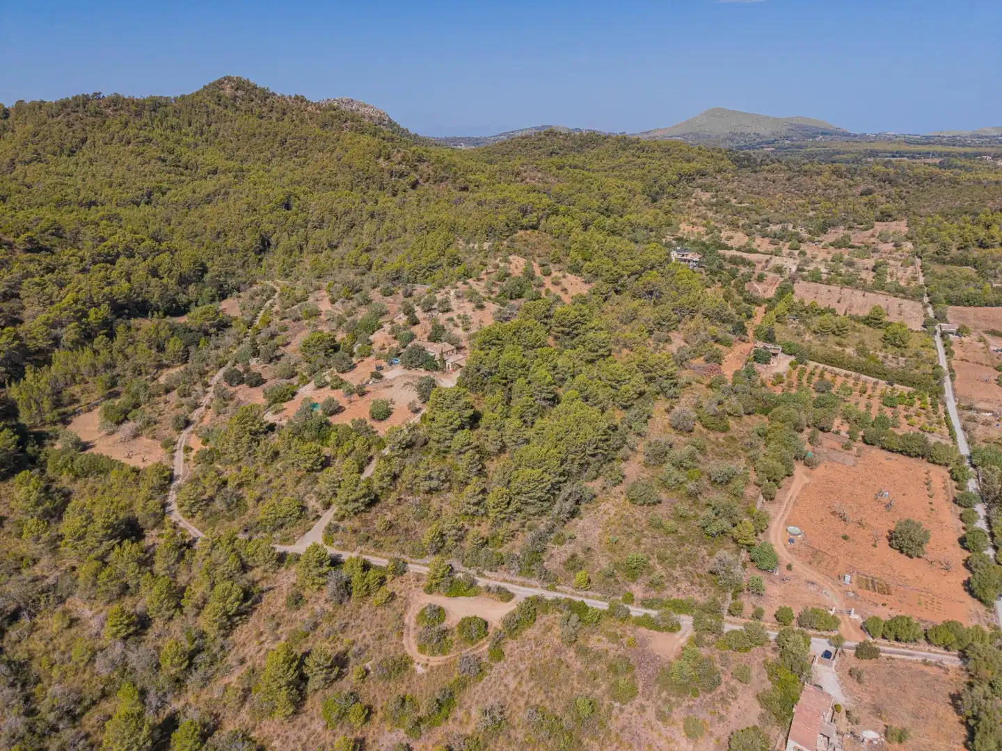 Rural land for sale in Son Servera Poble, imagen 6