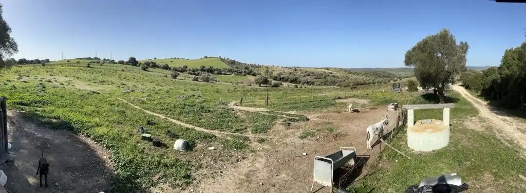 Haus zum Verkauf in Vejer, imagen 4