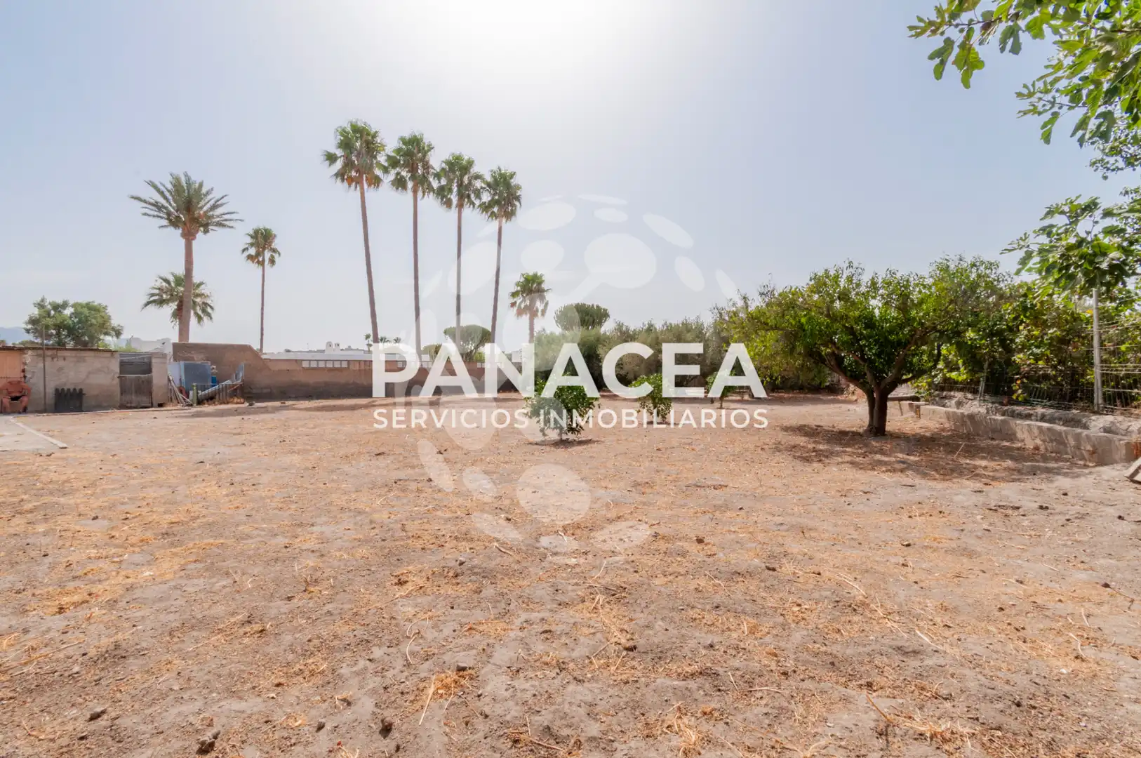 Casa o xalet en venda en Pechina amb Jardí privat, Piscina i Moblat