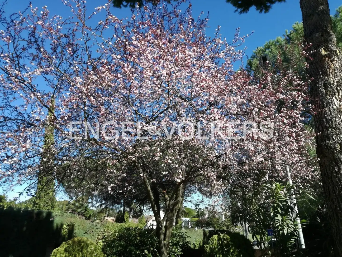 Vista exterior de Casa o xalet en venda en Las Rozas de Madrid amb Aire condicionat, Calefacció i Jardí privat