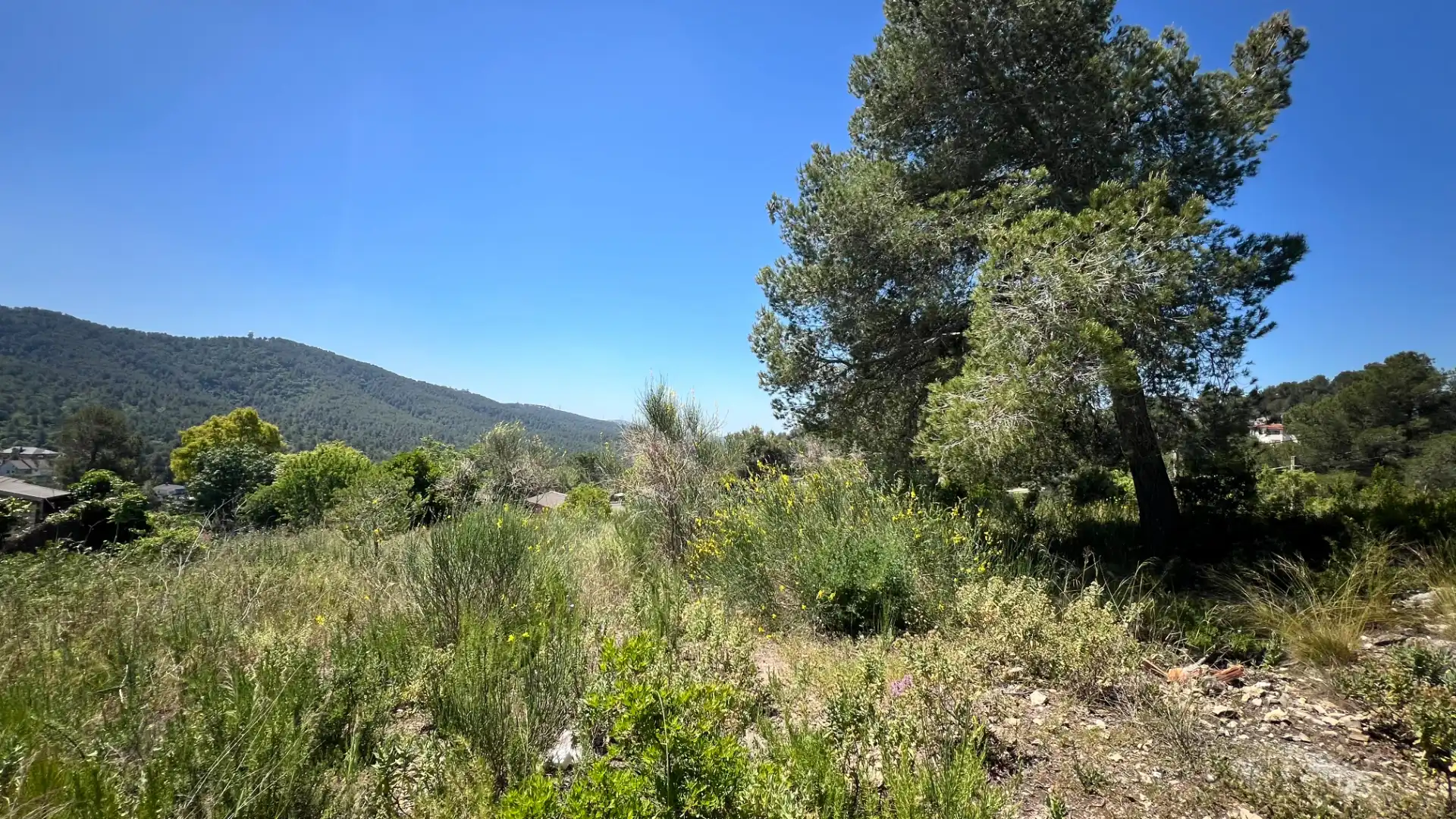 Terreny residencial en venda a Carrer Riu Freser 24, imagen 3