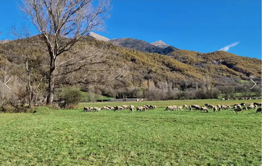 Vista exterior de Terreno en venta en Castejón de Sos