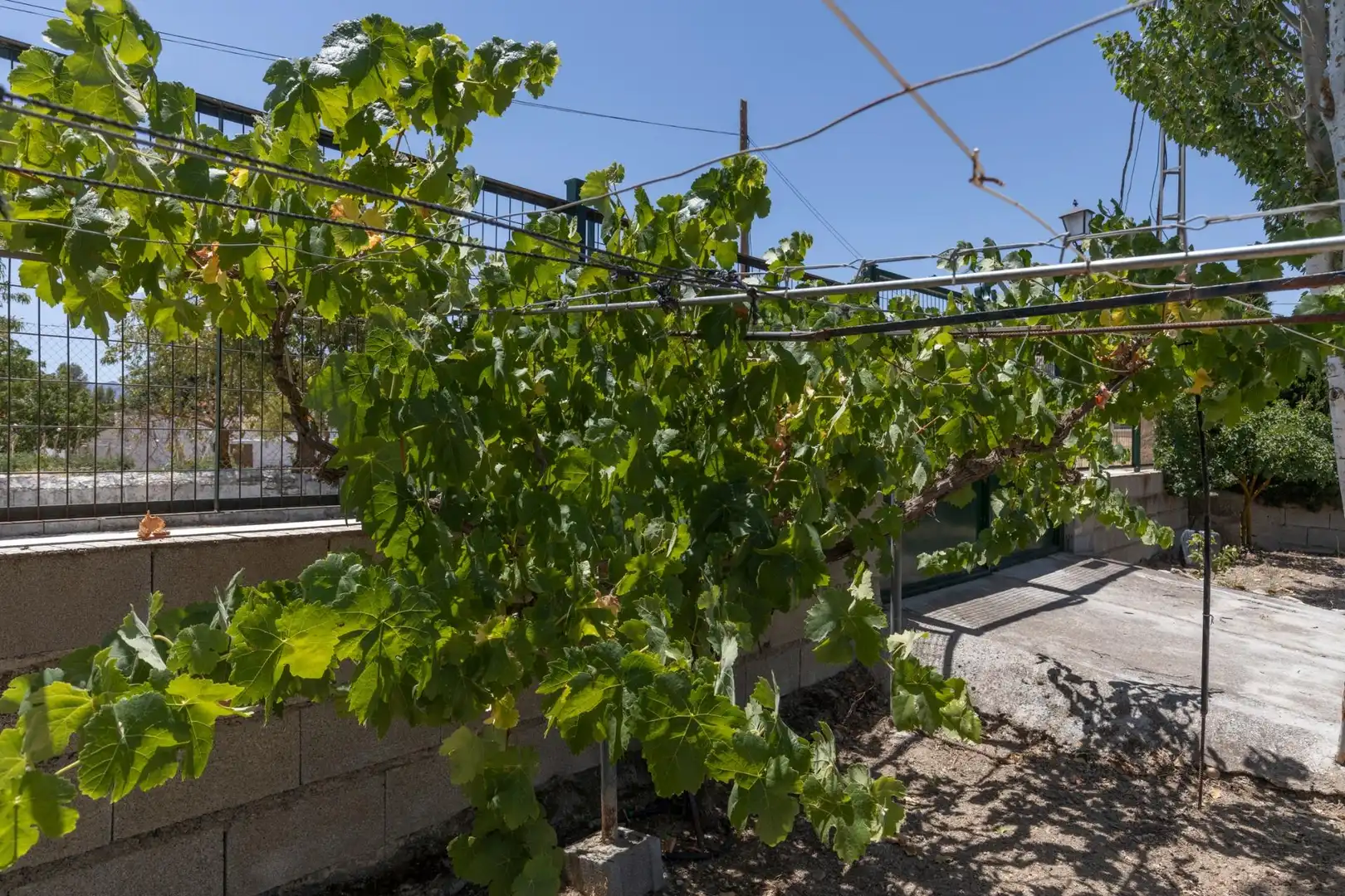 Garten von Residential zum Verkauf in Santa Cruz del Comercio